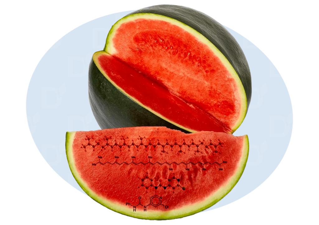 БЛОГ0101.png БЛОГ0101.png